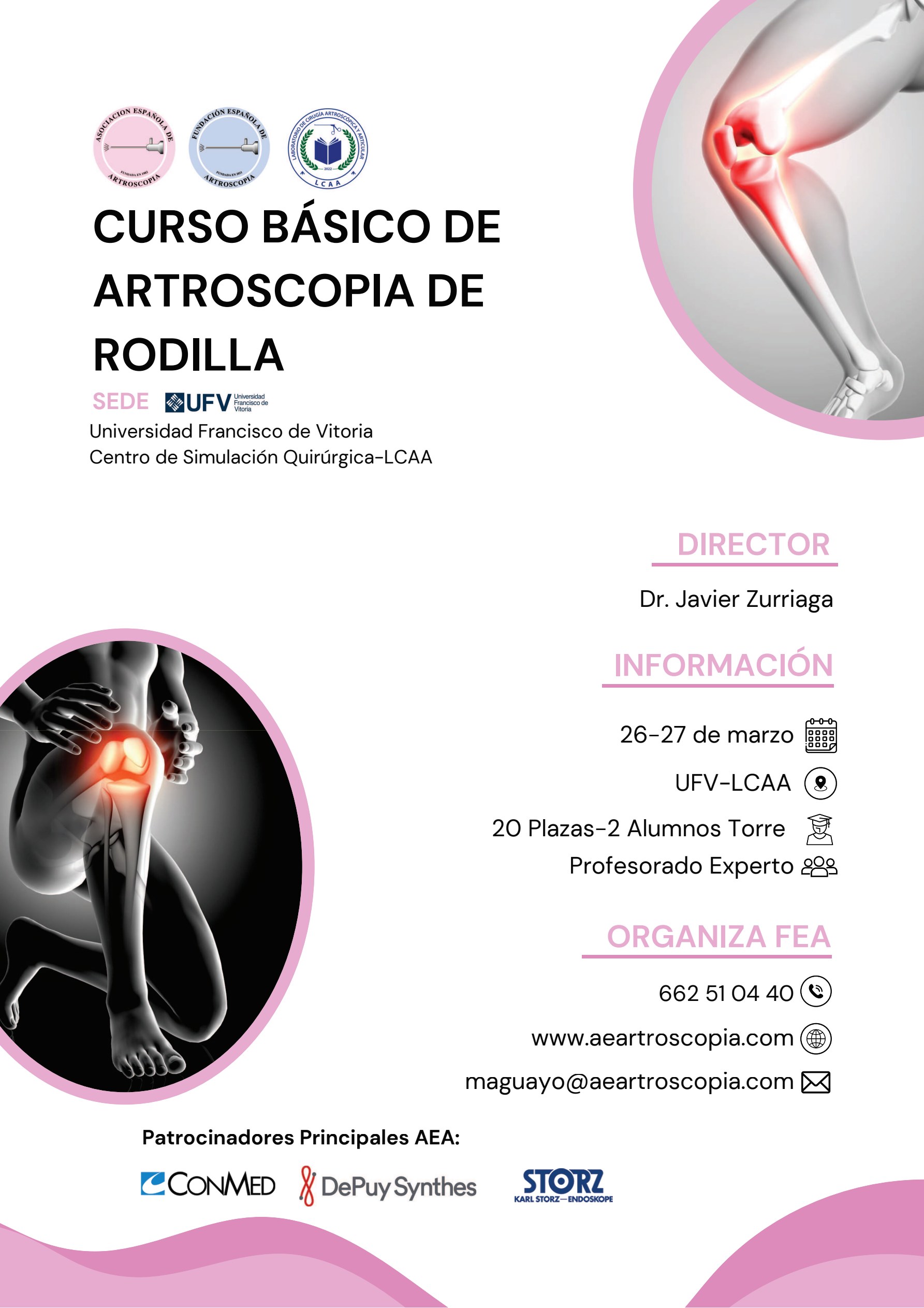Cartel del Curso básico de artroscopia de rodilla de la AEA